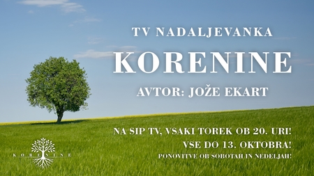 Korenine predvajanje